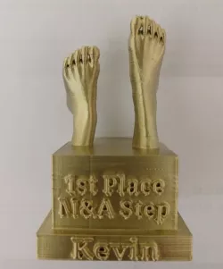 Step  Competition Trophy