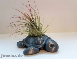 Succulent Planter Turtle