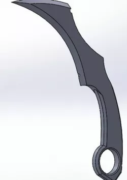 Training Karambit