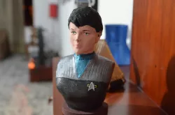 Young and cute trill starbase ensign 