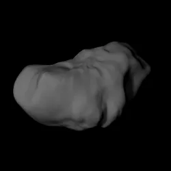 243 Ida scaled one in one million