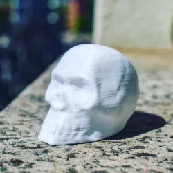 3D Printable Skull