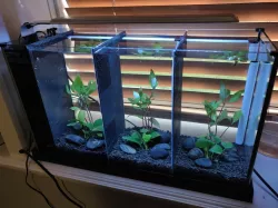 Fluval Spec V Divider