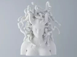 Medusa Head