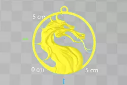 Mortal Kombat medallion