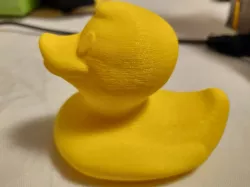 Squeaking Swimming Rubber Duck