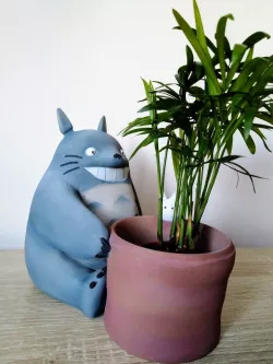 totoro with flower pot
