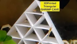 Triangular Shrimp Cave