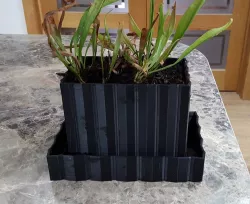 Bog plant pot