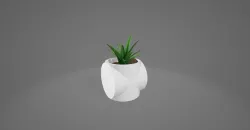 Cross Cylinder Vase