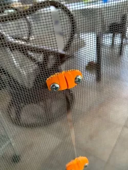 Dog magnetic bug screen