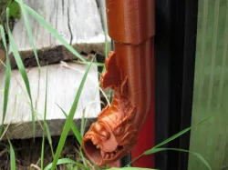 Dragon Fish water spout