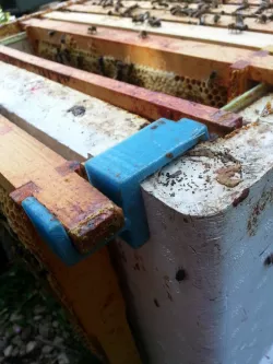 Frame Holder