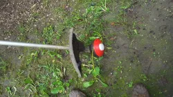 Honda Weed Wacker Spool Lid