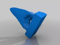 Megalodon Tooth