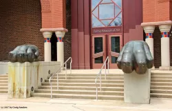 Penn State Nittany Lion Paws