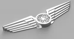 Pilot Wings for drone pilots