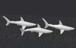 Sharks