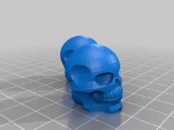 skull