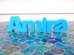 Amira