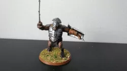 Body Mordor / Isengard troll