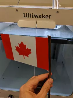 Canadian flag by Shop3D.ca