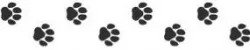 Cat paws texture roller