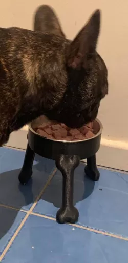 Dog Bowl Riser