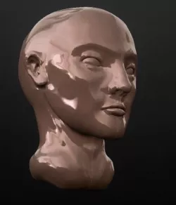 Head Sculpture