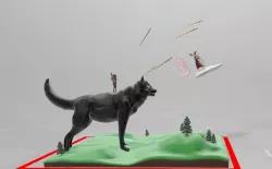 Huge wolf　VS　Flying Wizard