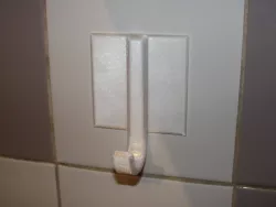 Parametric hook with backing plate