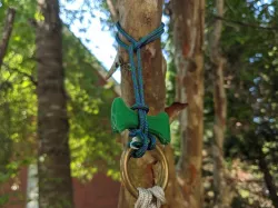 ring & dogbone for hanging plants
