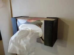 Tissue box wall mount