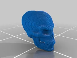 (3D Slash) skull