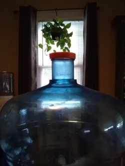Cap for 5 gallon water cooler bottle