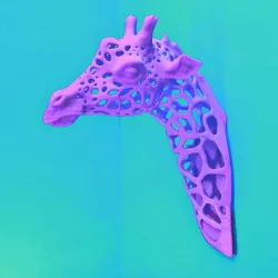 Giraffe Spots