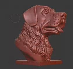 Labrador Retriever bust (Dog head)
