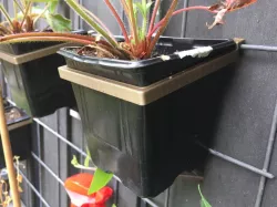 Outdoor plant holder / wall mount