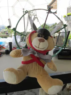 Ted v3.0 HobbyKing Paramotor Gondola