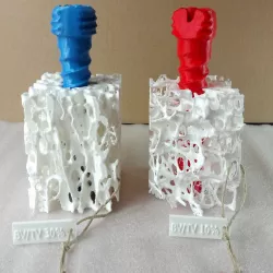 Trabecular bone osteoporosis model with bone screw