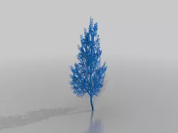 Tree branch 