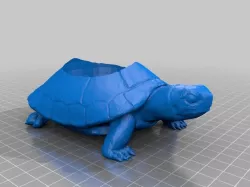 Turtle