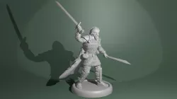 Viking fighter