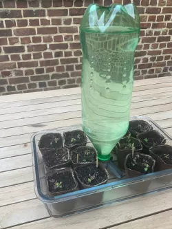 watering rocket end piece
