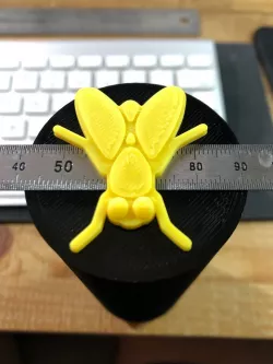 Bug Eyed Bug