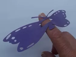 Butterfly Fun
