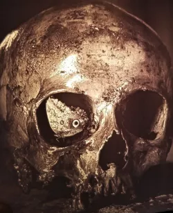 Butterfly in Skull Lithophane