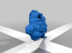 Coral Skeleton "Mountainous Star"