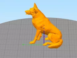 Dogmeat