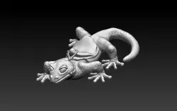 Giant Riding Gecko